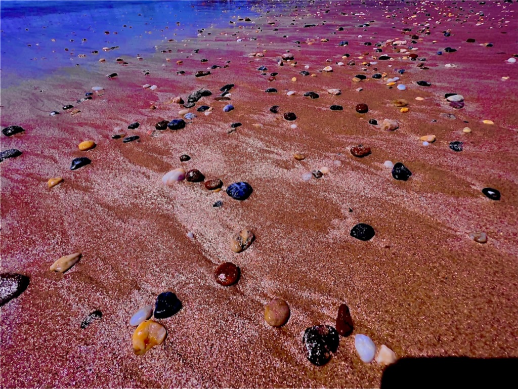Nature photograph by Clive Lochner
